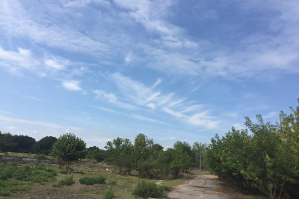 Участок 6 га под строительство промышленного комплекса + 74 га ОСГ, Киевская область