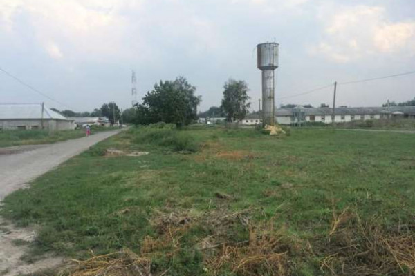 Птицекомплекс по выращиванию курицы высокого качества