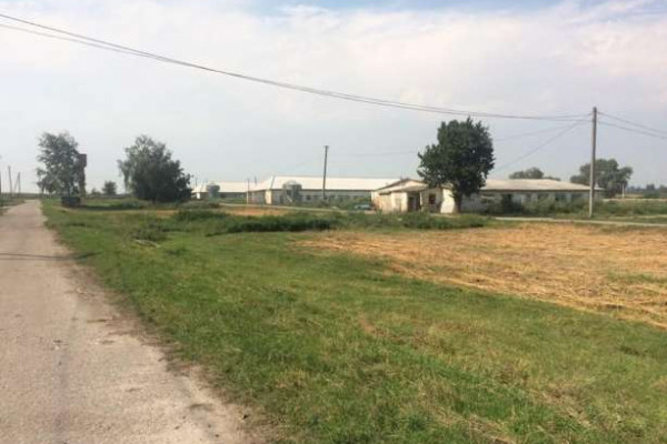 Птицекомплекс по выращиванию курицы высокого качества