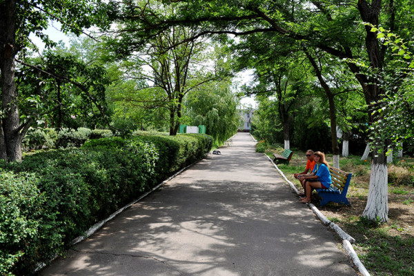 Детский спортивно-оздоровительный лагерь