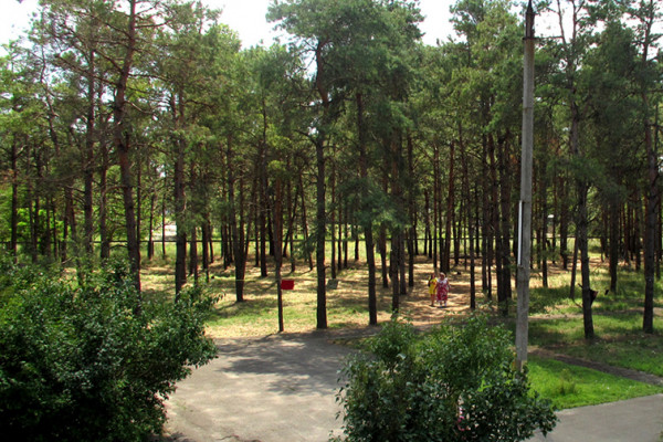 Детский спортивно-оздоровительный лагерь