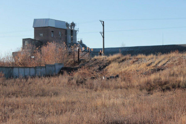Деревоперерабатывающий комплекс (производство пеллет, брикетов, обрезной доски, европоддонов)