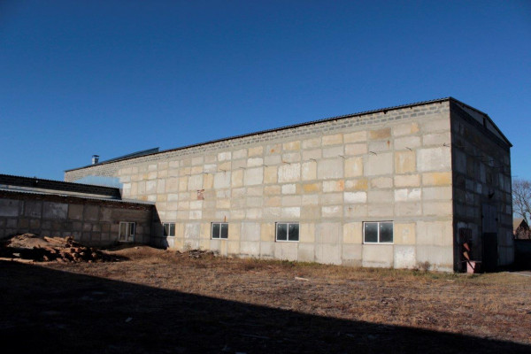 Деревоперерабатывающий комплекс (производство пеллет, брикетов, обрезной доски, европоддонов)