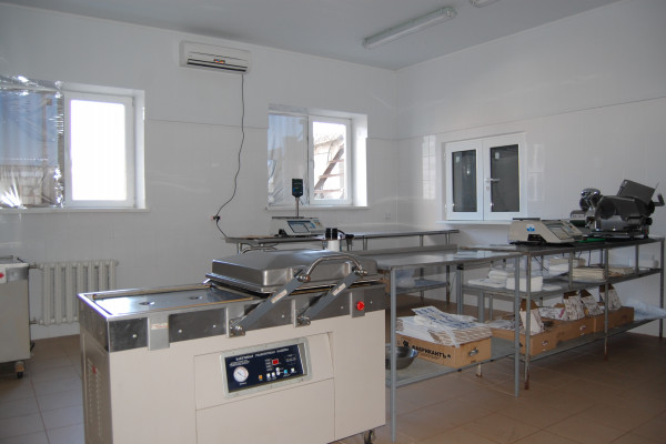 Fish processing plant 