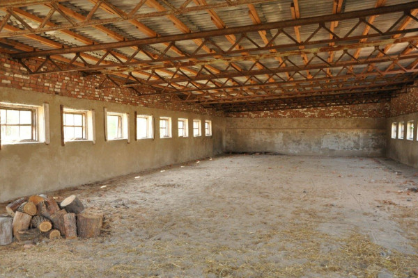 Действующая свиноферма в Черниговской области