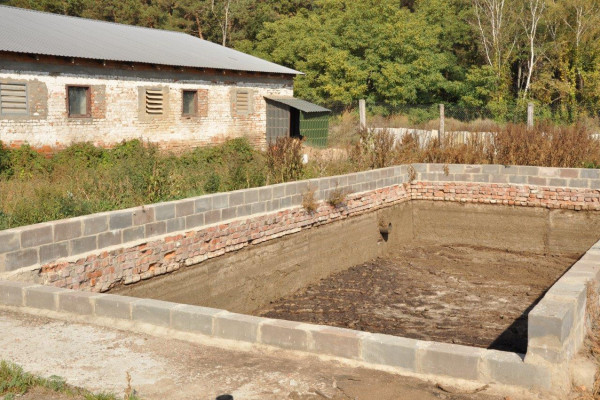 Действующая свиноферма в Черниговской области