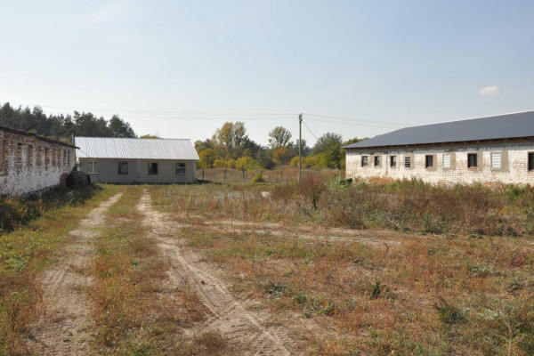 Действующая свиноферма в Черниговской области