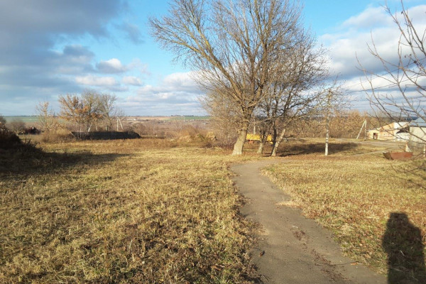 Industrial complex for the manufacture of organic fertilizers