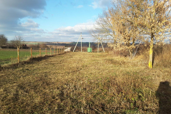 Industrial complex for the manufacture of organic fertilizers