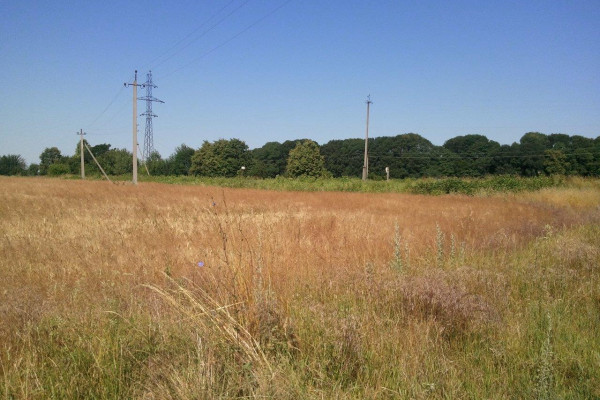 Land plot for elevator or logistics complex