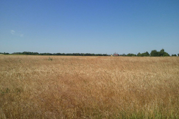 Land plot for elevator or logistics complex