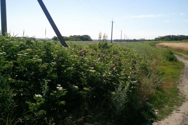 Land plot for elevator or logistics complex