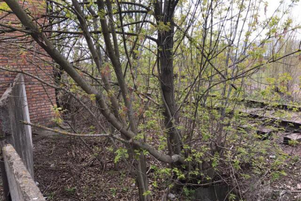 Завод по производству железобетонных изделий в Черкасской области