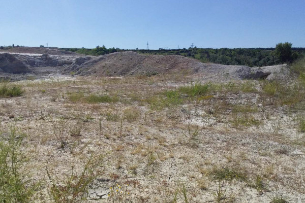 Каолиновый карьер в Донецкой области