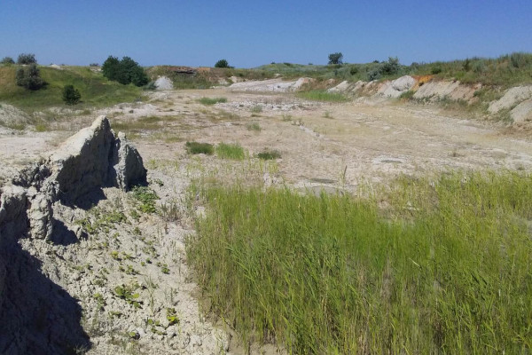 Каолиновый карьер в Донецкой области