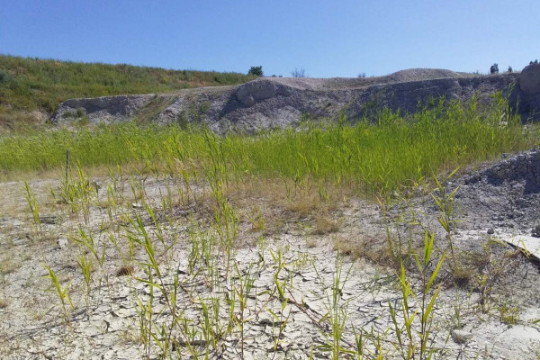 Каолиновый карьер в Донецкой области