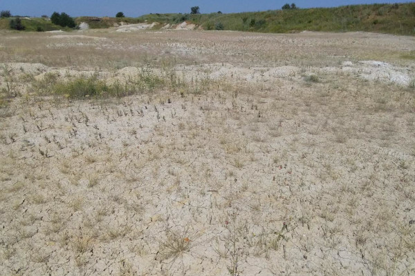 Каолиновый карьер в Донецкой области