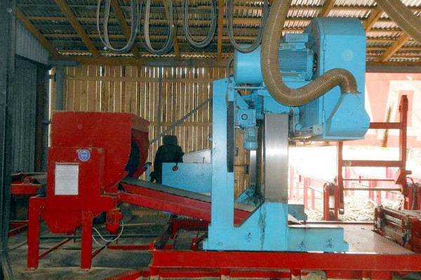 Timber processing plant in Mukachevo