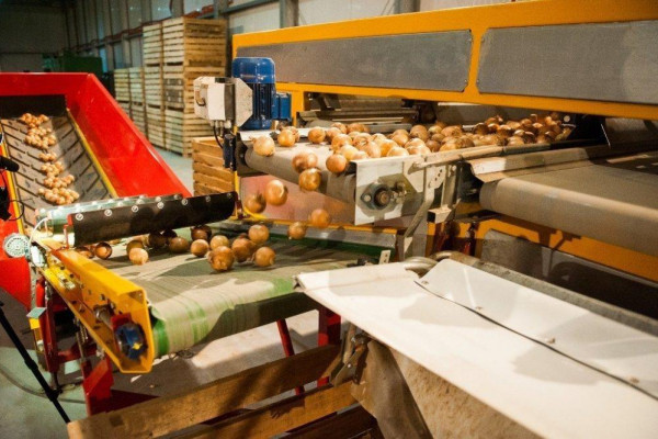 Строительство комплекса по переработке и сушке овощей