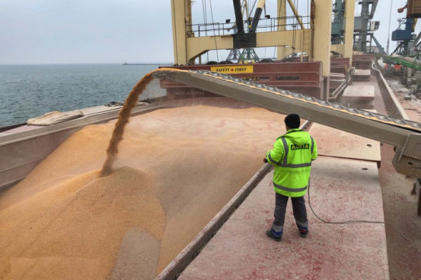 Marine grain terminal  "Agria"