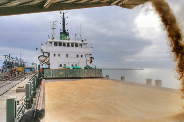 Marine grain terminal  "Agria"