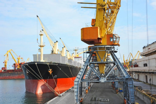 Marine grain terminal  "Agria"