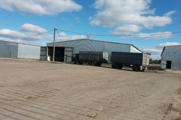 Компания в сфере зернового трейдинга с элеватором 7000 тонн хранения в Харьковской области