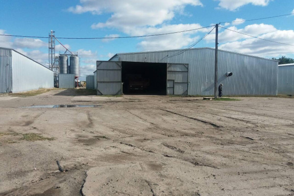 Компания в сфере зернового трейдинга с элеватором 7000 тонн хранения в Харьковской области