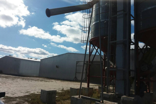 Компания в сфере зернового трейдинга с элеватором 7000 тонн хранения в Харьковской области