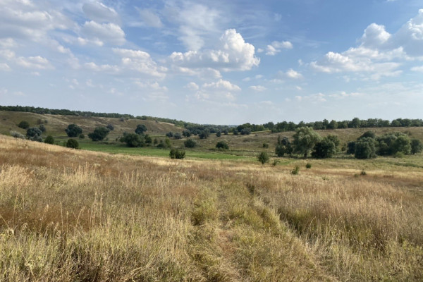 Agricultural land for the organization of a farm or crop production