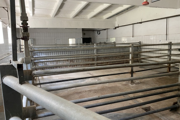 Продажа мясокомбината с проектом строительства свинофермы в Киевской области