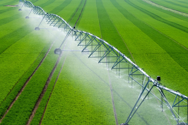 Agricultural company of 4000 hectares with irrigated land in the Odessa region for sale