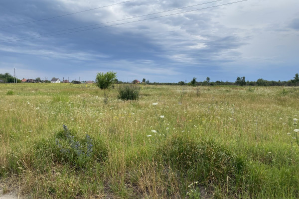 Продаж ділянок 6 га та 14,5 га, с. Бузова, 18 км до Києва (по Житомирській трасі)