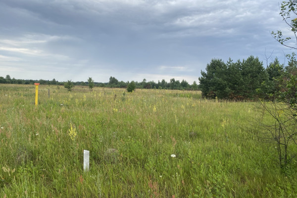 Продажа участков под логистический комплекс 20 га и 10 га, с. Любимовка (18 км до Киева)