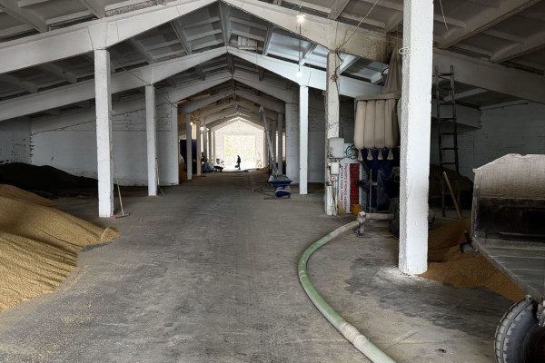 Продажа действующего свинокомплекса на 5500 свиней в Винницкой области