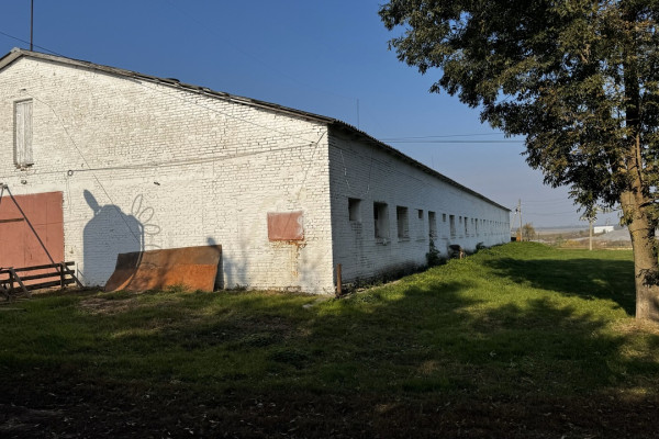 Продажа действующего свинокомплекса на 5500 свиней в Винницкой области