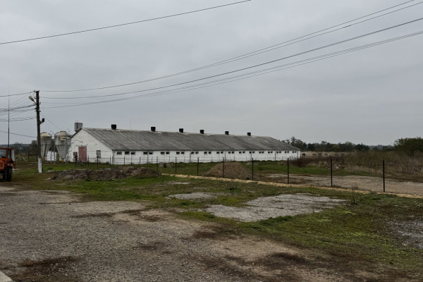 Продажа действующего свинокомплекса на 5500 свиней в Винницкой области