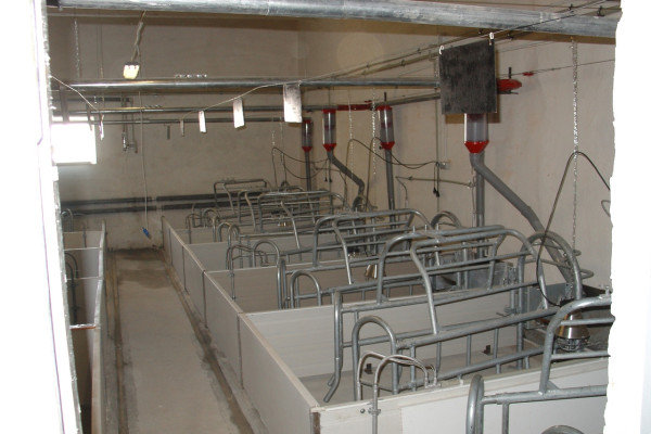 Продажа действующего свинокомплекса на 5500 свиней в Винницкой области