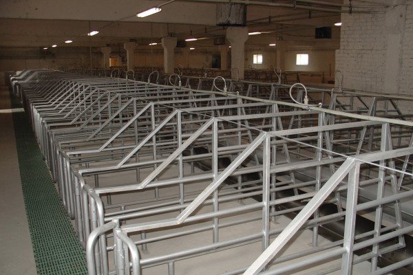 Продажа действующего свинокомплекса на 5500 свиней в Винницкой области