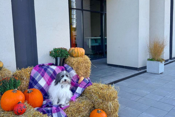 Продаж кафе-ресторану «бістро СУСІДИ» в Києві