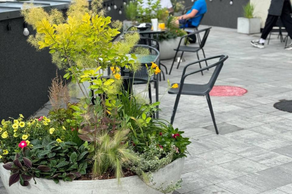 Продаж кафе-ресторану «бістро СУСІДИ» в Києві