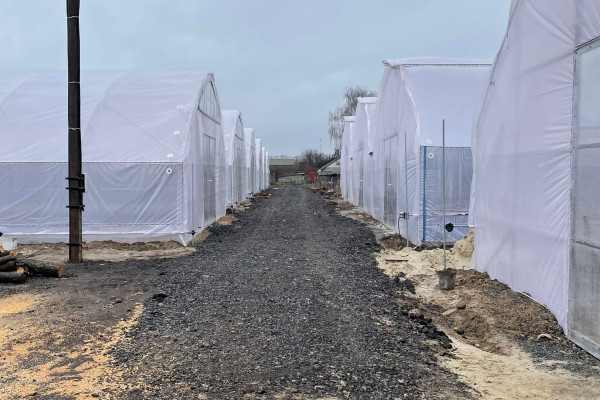 Greenhouse for growing vegetables, flowers and other greenhouse crops in the Cherkasy region for sale