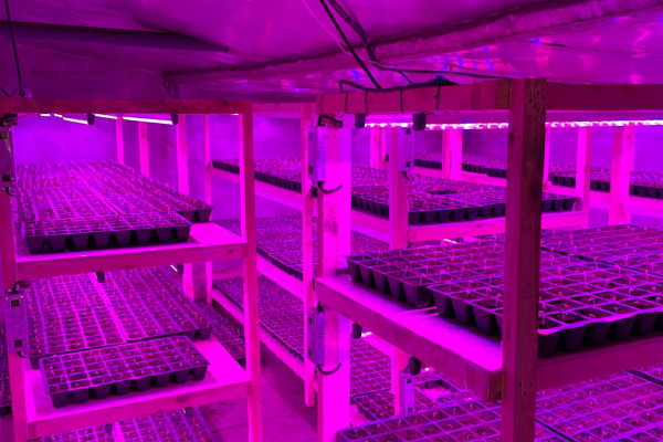 Greenhouse for growing vegetables, flowers and other greenhouse crops in the Cherkasy region for sale