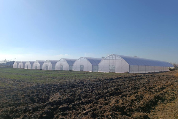 Greenhouse for growing vegetables, flowers and other greenhouse crops in the Cherkasy region for sale