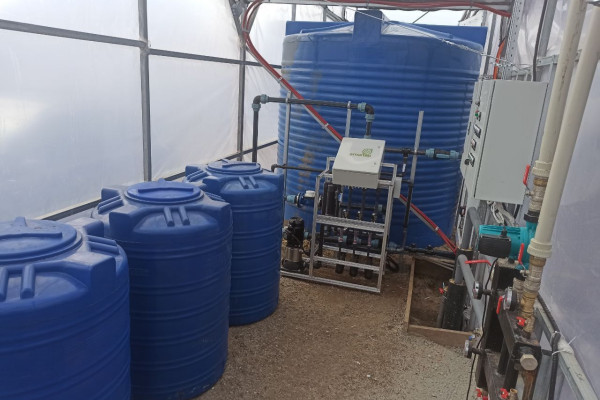 Greenhouse for growing vegetables, flowers and other greenhouse crops in the Cherkasy region for sale