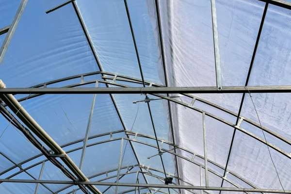 Greenhouse for growing vegetables, flowers and other greenhouse crops in the Cherkasy region for sale