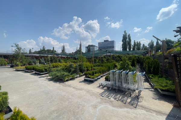 Продаж садового центру Gradina Mea у Молдові