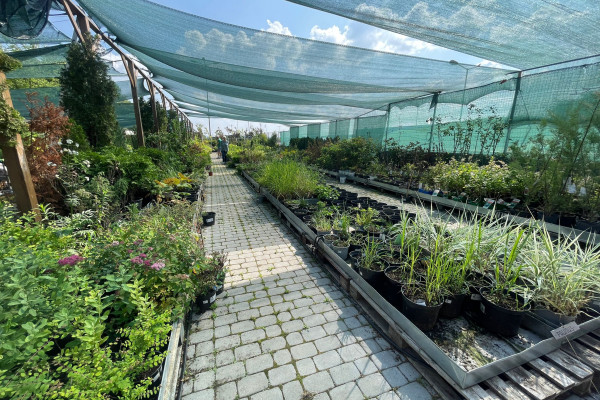 Продаж садового центру Gradina Mea у Молдові