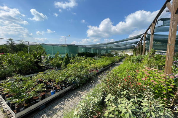 Продаж садового центру Gradina Mea у Молдові