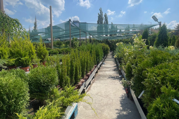 Продаж садового центру Gradina Mea у Молдові